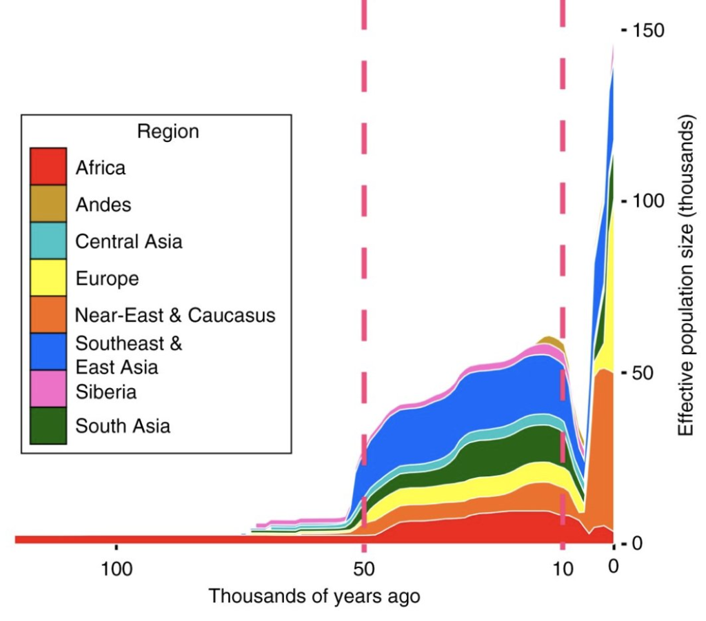 Magnetic Pole Shift DNA diversity chart