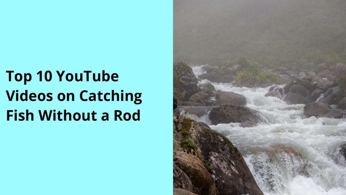 Top 10 YouTube Videos on Catching Fish Without a Rod