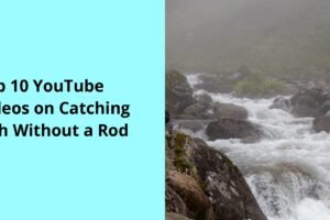 Top 10 YouTube Videos on Catching Fish Without a Rod
