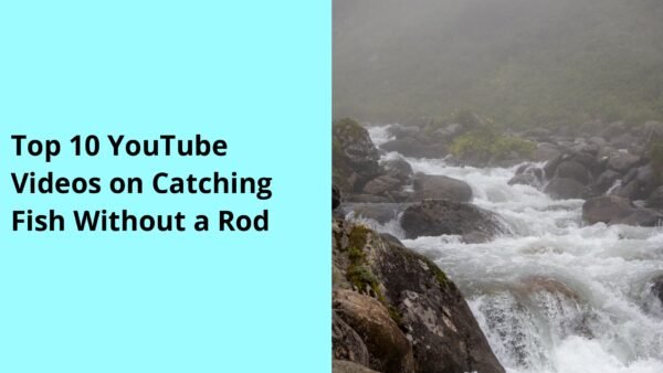 Top 10 YouTube Videos on Catching Fish Without a Rod