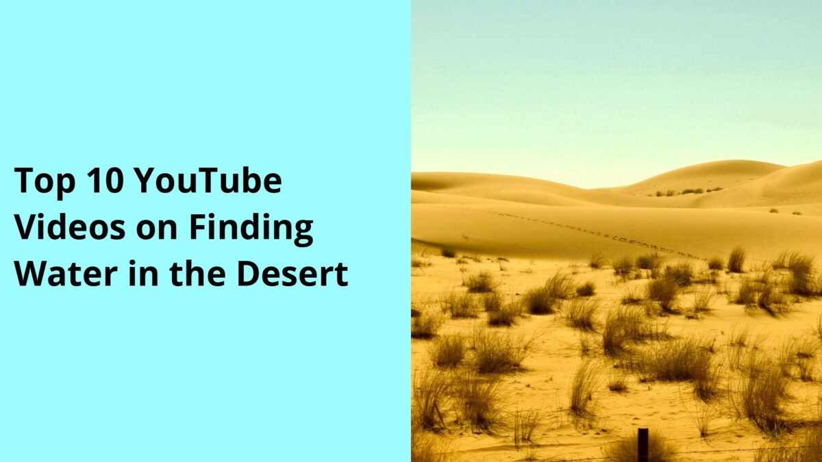 Top 10 YouTube Videos on Finding Water in the Desert