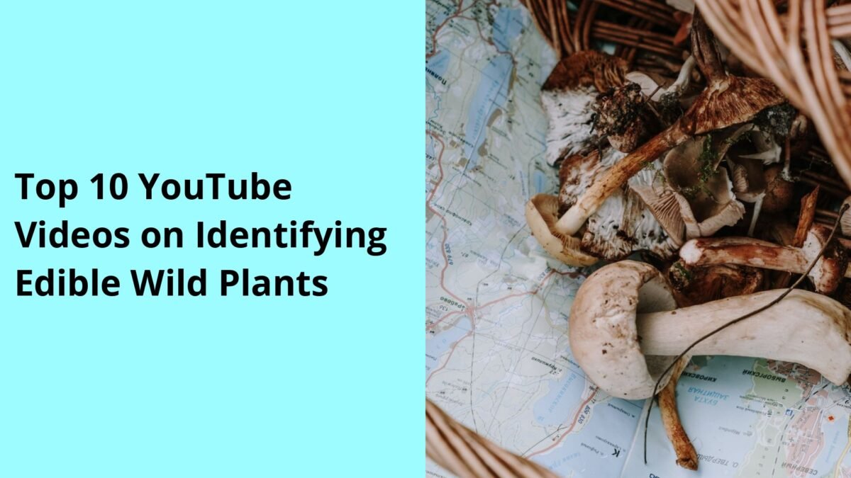 Top 10 YouTube Videos on Identifying Edible Wild Plants