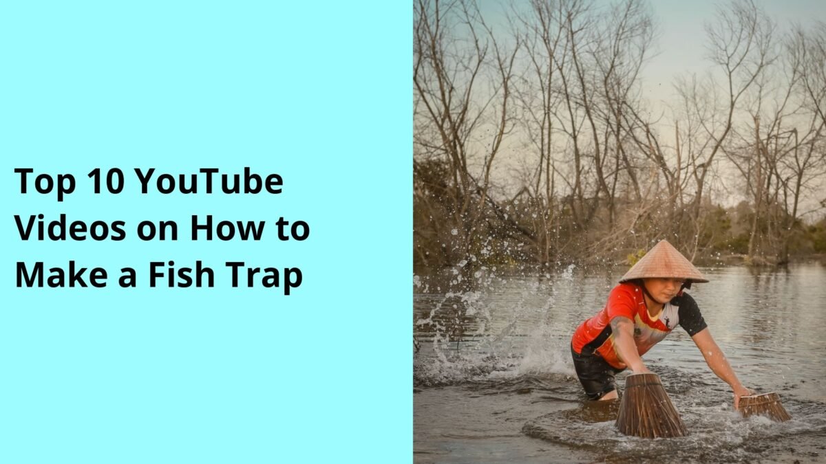 Top 10 YouTube Videos on How to Make a Fish Trap