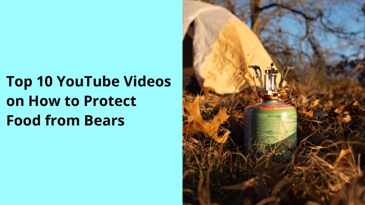Top 10 YouTube Videos on How to Protect Food from Bears