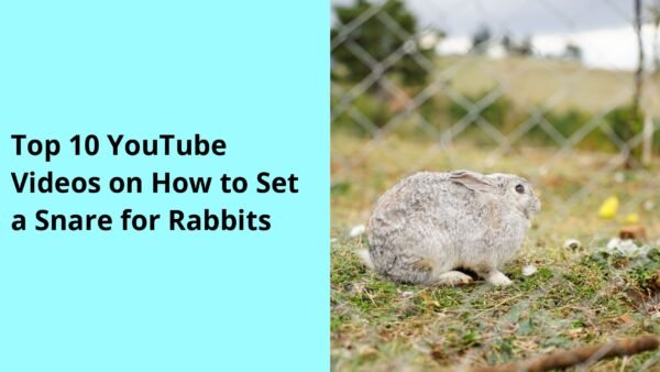 Top 10 YouTube Videos on How to Set a Snare for Rabbits
