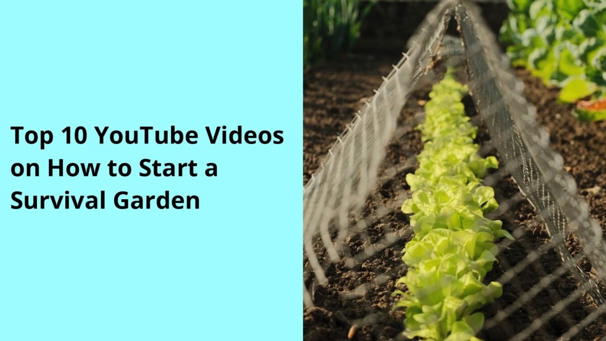 Top 10 YouTube Videos on How to Start a Survival Garden