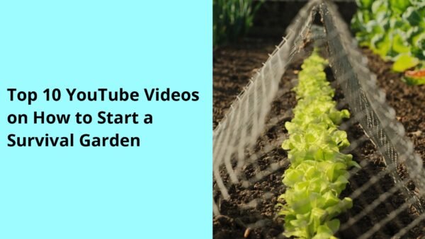 Top 10 YouTube Videos on How to Start a Survival Garden
