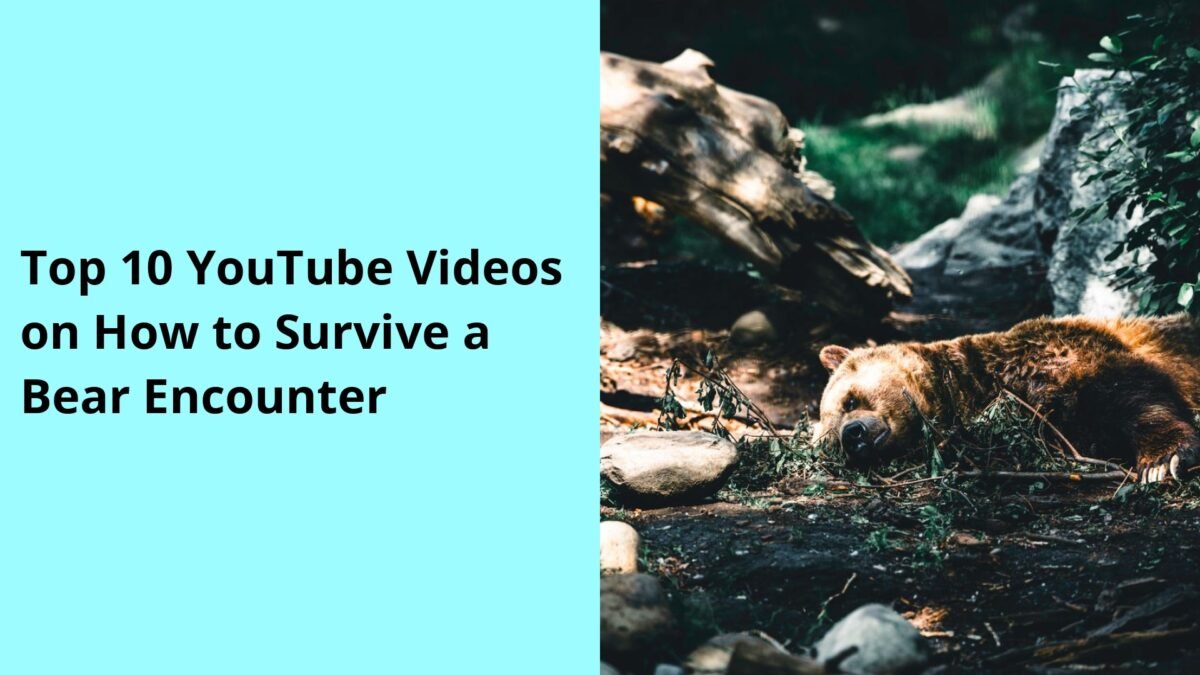 Top 10 YouTube Videos on How to Survive a Bear Encounter