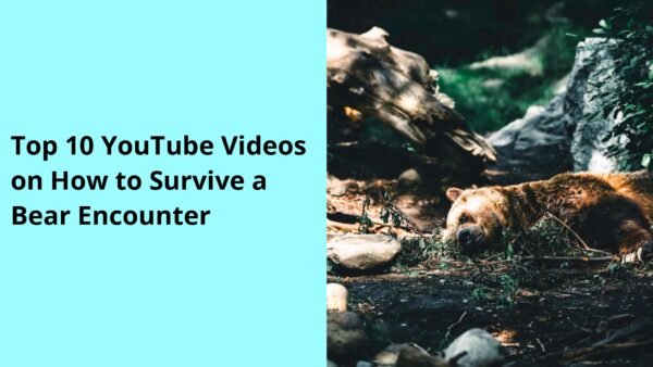 Top 10 YouTube Videos on How to Survive a Bear Encounter