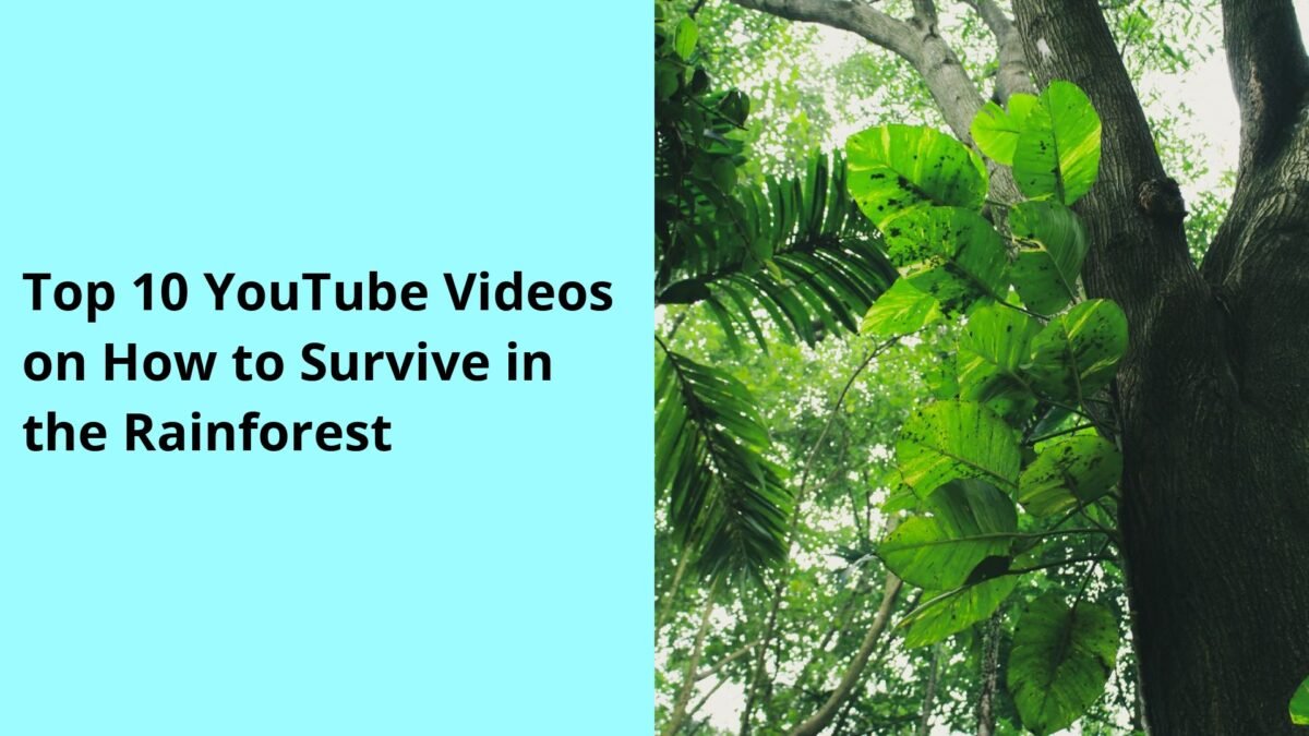 Top 10 YouTube Videos on How to Survive in the Rainforest
