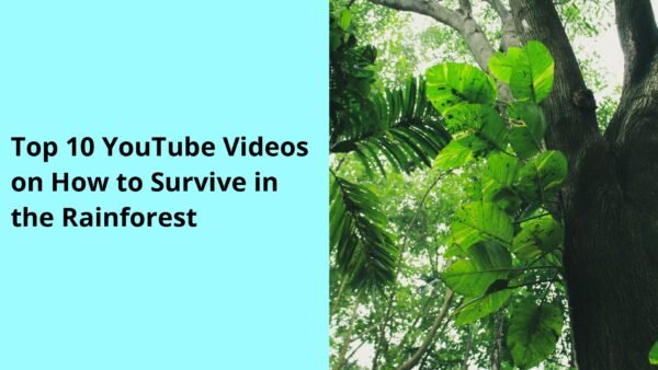 Top 10 YouTube Videos on How to Survive in the Rainforest