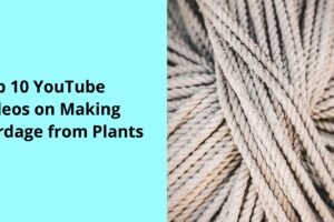 Top 10 YouTube Videos on Making Cordage from Plants