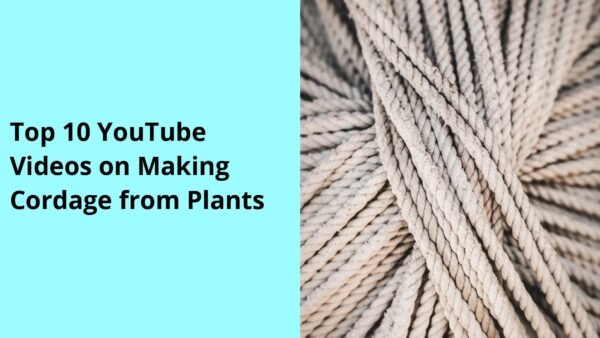 Top 10 YouTube Videos on Making Cordage from Plants